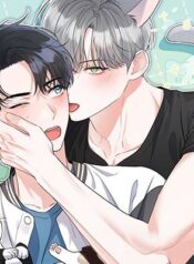 khong-phai-con-meo-do-con-meo-nay-co.jpg