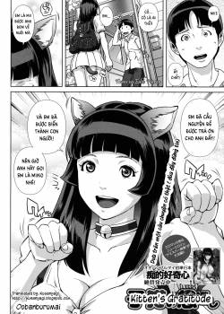 kitten-s-gratitude.jpg