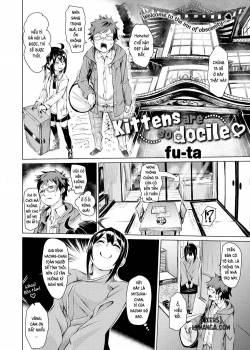 kittens-are-so-docile.jpg