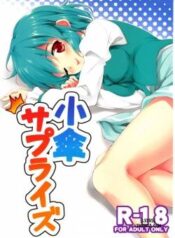 kogasa-surprise.jpg
