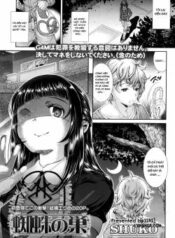 kumo-no-su.jpg