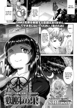kumo-no-su.jpg