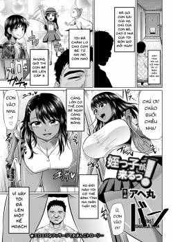 meikko-ga-kuru.jpg