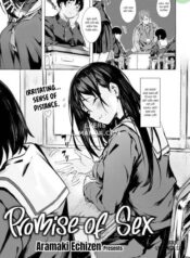 promise-of-sex.jpg