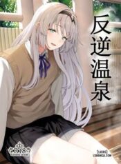 reverse-onsen.jpg