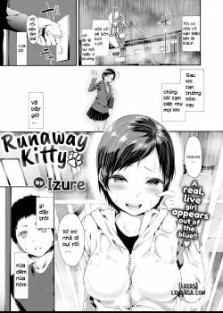 runaway-kitty.jpg