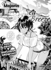 sea-breeze.jpg