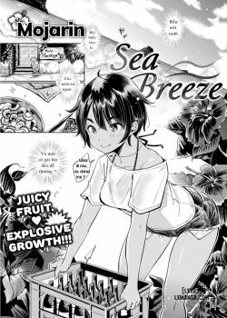 sea-breeze.jpg