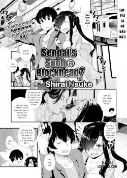 senpai-s-such-a-blockhead.jpg