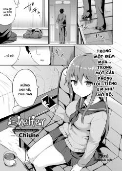 shelter-2.jpg