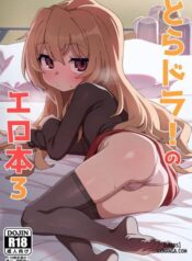 toradora-porn-book-3.jpg