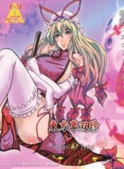 touhou-hisouchin.jpg
