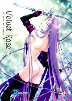 velvet-rose.jpg
