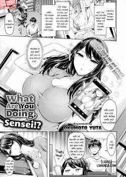 what-are-you-doing-sensei.jpg