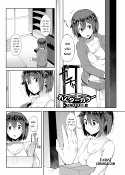 wonder-collar.jpg