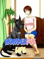 wonderful-life.jpg