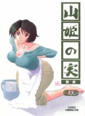 yamahime-no-mi-satomi.jpg
