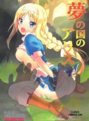 yume-no-nuki-no-alice.jpg
